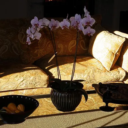 Rural Palacio De Prelo (adults Only) Boal