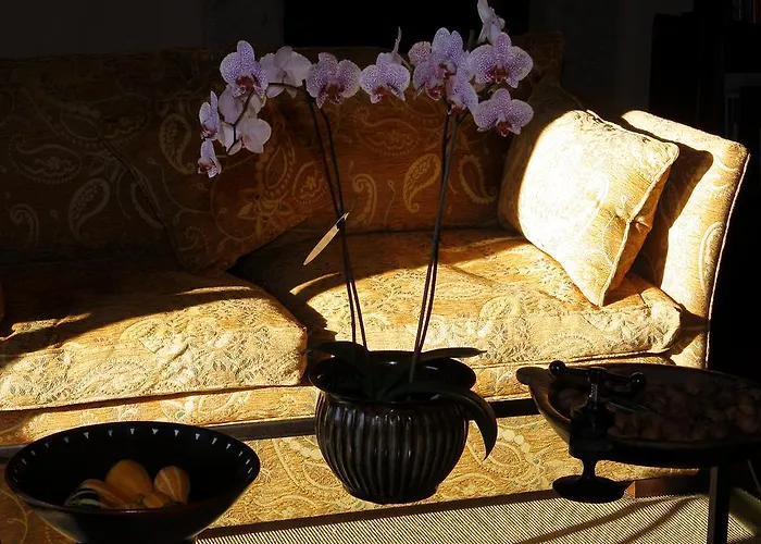 Rural Palacio De Prelo Boal